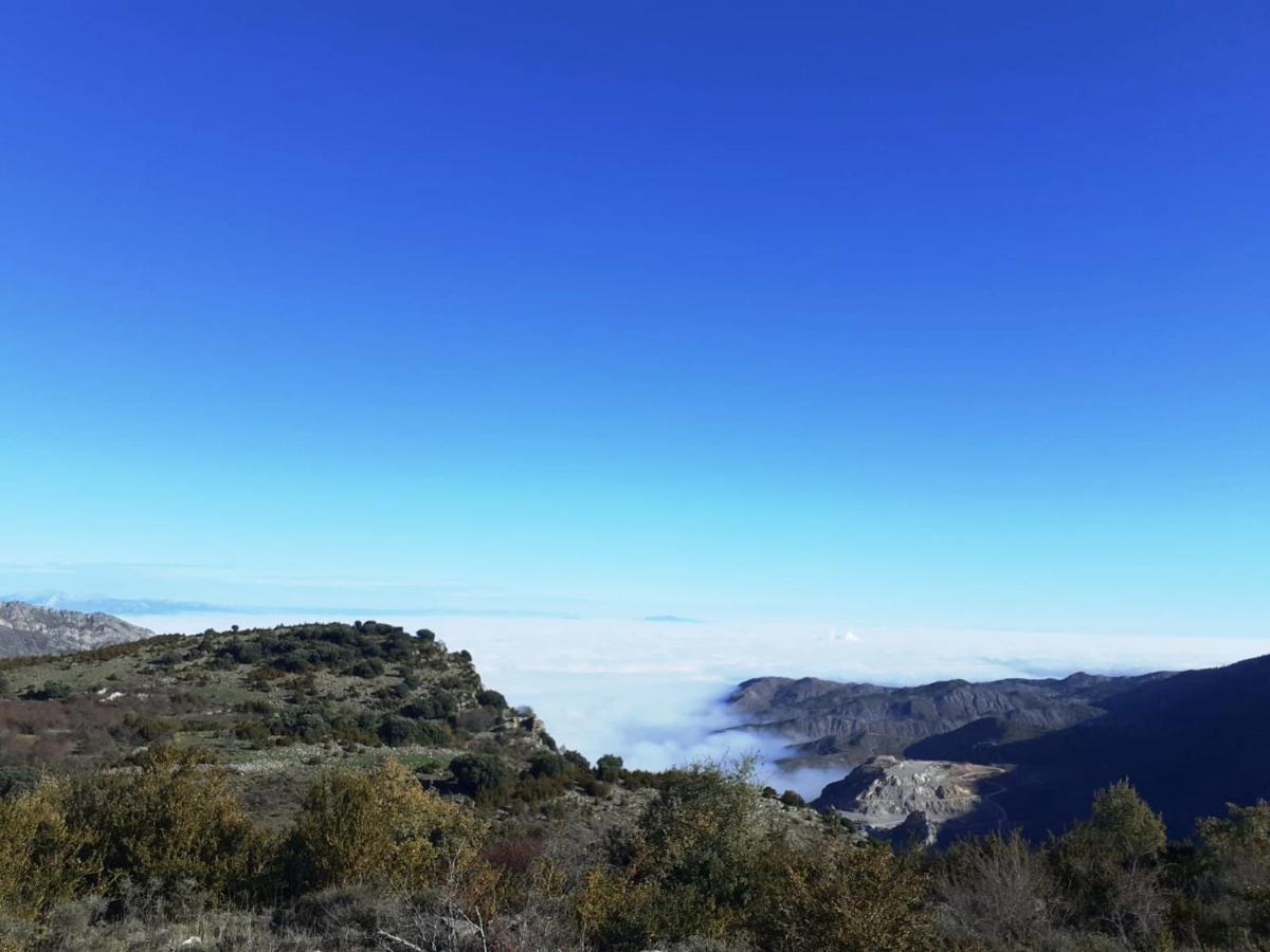 Casasdetrevijano Mirador De Mateo *